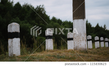 Concrete posts along the road next to the forest Concrete posts along the road next to the forest 115830623
