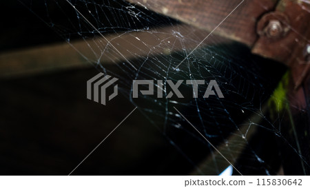 Cobwebs on the corner of a wooden gazebo Cobwebs on the corner of a wooden gazebo 115830642