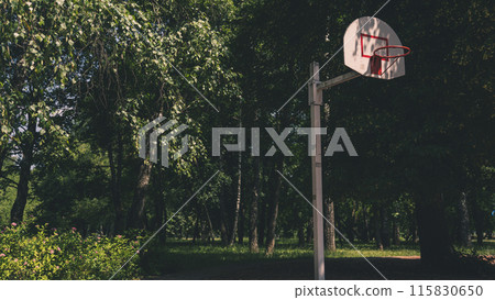 Basketball hoop in the children's park 115830650