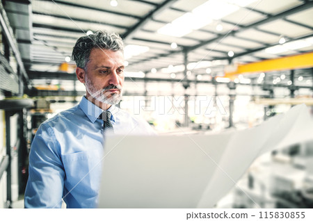 Portrait of project manager reading blueprint modern industrial factory. Manufacturing facility with robotics, robotic arms and automation. Storing products and materials in warehouse. Portrait of project manager reading blueprint modern industrial factory. Manufacturing facility with robotics, robotic arms and automation. Storing products and materials in warehouse. 115830855