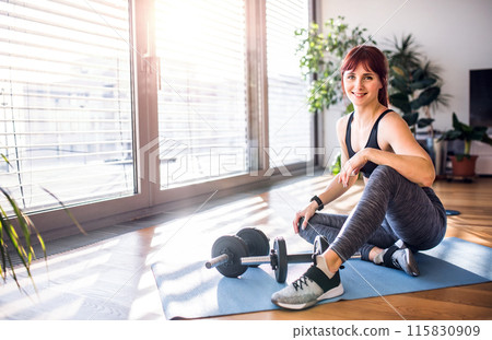 Beautiful redhead woman's home workout routine with dumbbell. Home fitness workout in living room, sporty woman wearing sportswear. 115830909