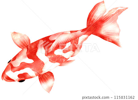 從上方看的瓦金的簡單插圖 115831162