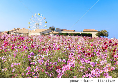 宇宙景觀（太陽山） 115831586