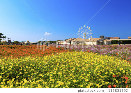Landscape with Cosmos (Soleil Hill) 115831592