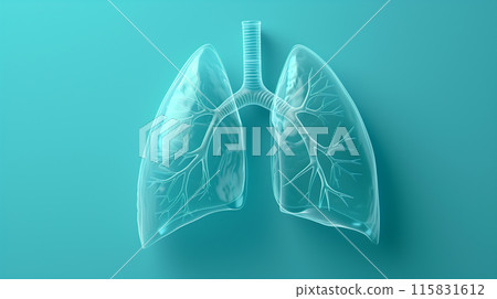 human clean glass lungs with transparent texture on a blue background for advertising 115831612