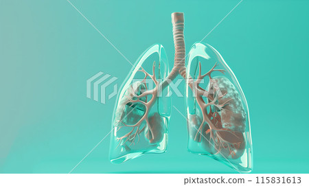 human clean glass lungs with transparent texture on a blue background for advertising 115831613