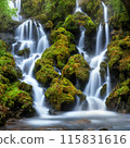 A large mountain waterfall falls from a great height 115831616