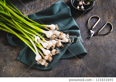 New trendy vegetable sweet garleek on a cloth on the table New trendy vegetable sweet garleek on a cloth on the table 115831645