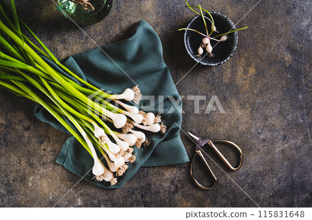 Stems of fresh sweet garleek on a cloth on the table top view 115831648
