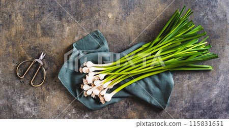 New trendy vegetable sweet garleek on a cloth on the table top view web banner New trendy vegetable sweet garleek on a cloth on the table top view web banner 115831651