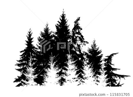 Silhouette of spruce forest. hand drawing. Not AI. Vector illustration 115831705