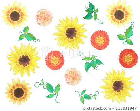 Sunflower flower 115831947