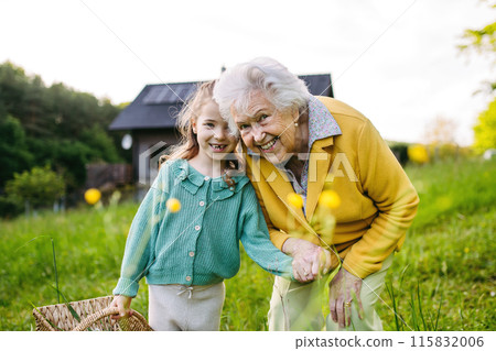 Granddaughter spending time with elderly grandma, picking wildflowers. Senior lady spending time in nature. 115832006