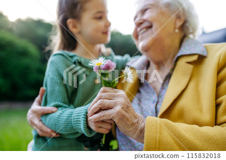 Granddaughter spending time with elderly grandma, picking wildflowers. Senior lady spending time in nature. Granddaughter spending time with elderly grandma, picking wildflowers. Senior lady spending time in nature. 115832018