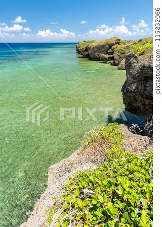 Paradisiacal coastline of Iriomote island, Okinawa, Japan. Paradisiacal coastline of Iriomote island, Okinawa, Japan. 115832066