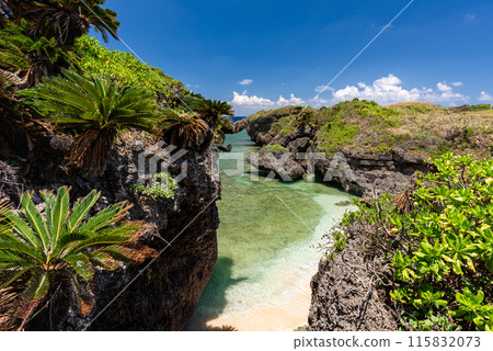 Secluded beach with turquoise sea palms and blue sky Secluded beach with turquoise sea palms and blue sky 115832073