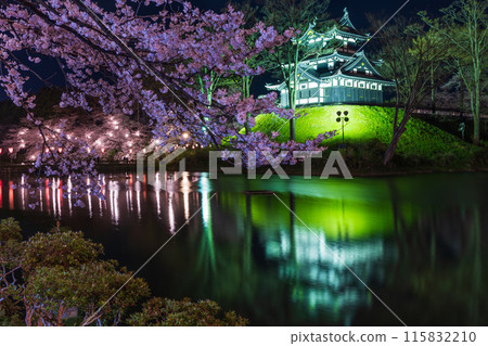 Top 100 Cherry Blossom Spots in Japan: Takada Castle Site Park, Niigata - Illuminated Cherry Blossoms at Night 115832210