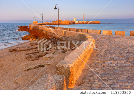 San Sebastian Fort in Cadiz, Andalusia, Spain 115833860