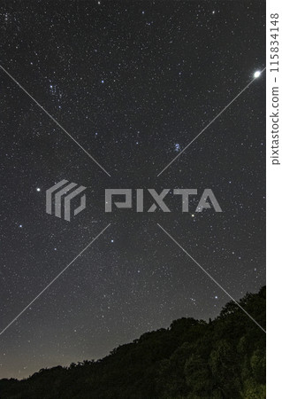 Autumn starry scenery with Taurus rising 115834148