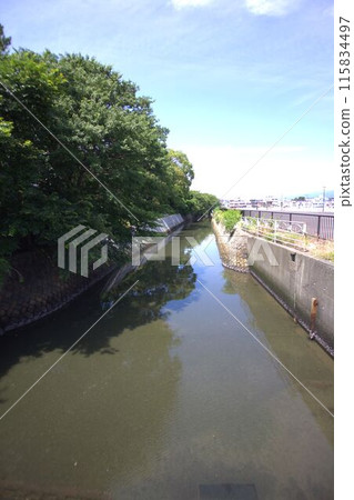 Landscape with river Landscape with river 115834497