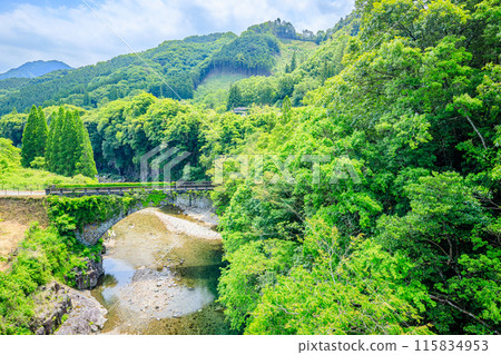 Deai Bridge in early summer, Bungo-Ono City, Oita Prefecture 115834953