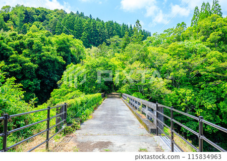 Deai Bridge in early summer, Bungo-Ono City, Oita Prefecture 115834963