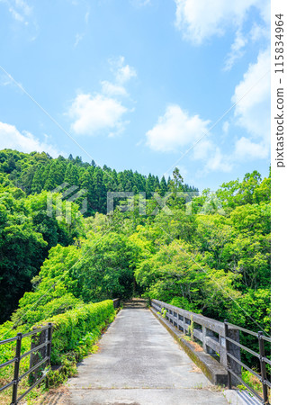 Deai Bridge in early summer, Bungo-Ono City, Oita Prefecture 115834964