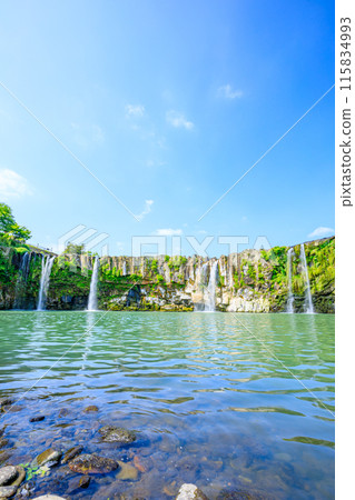 大分縣豐後大野市初夏的原尻瀑布 115834993