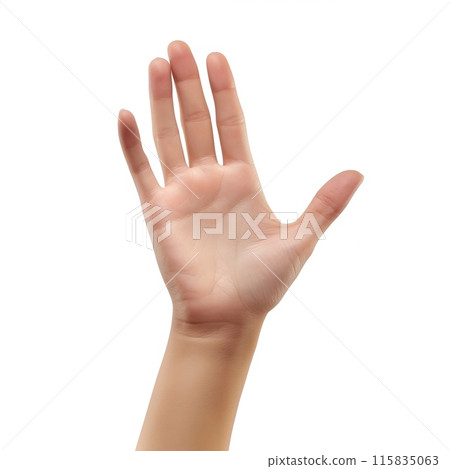 Female hand showing five fingers isolated on white background 115835063