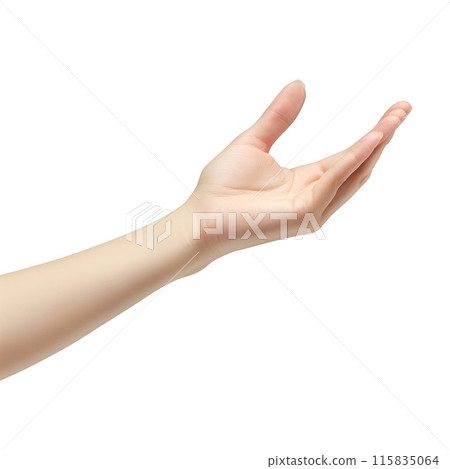 Female hand holding something isolated on white background Female hand holding something isolated on white background 115835064