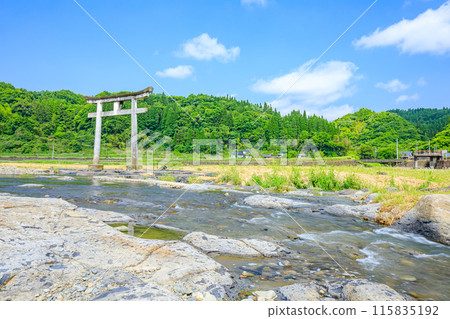 First torii gate of Ninomiya Hachiman Shrine in early summer, Bungo-Ono City, Oita Prefecture 115835192
