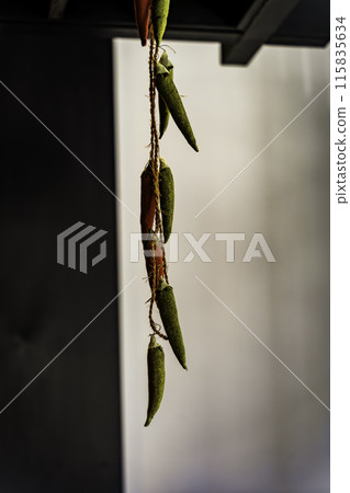 辣椒的護身符 辣椒的護身符 115835634