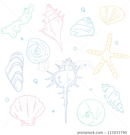 Hand-drawn seashell line drawing set, decoration material 115835790