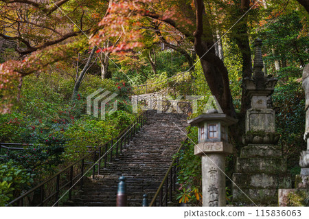 奈良長谷寺院內的秋景 奈良長谷寺院內的秋景 115836063