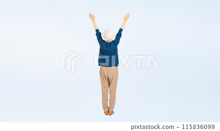 歡呼的老年婦女全身照 歡呼的老年婦女全身照 115836099