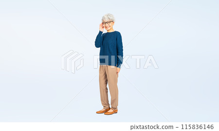 戴眼鏡的高級女性的全身照片 115836146