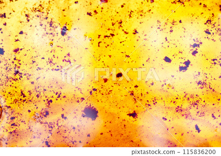 Used vegetable oil in a plate . Used vegetable oil in a plate . 115836200