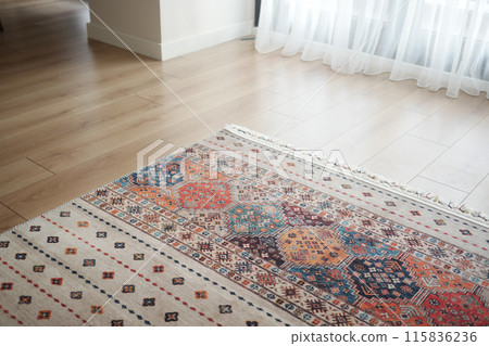 A patterned rug rests on the flooring beside a mirror 115836236