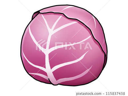 紫甘藍藍圖解（附主線） 115837438