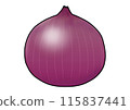 Purple onion illustration (with outline) 115837441