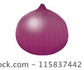 Purple onion illustration (no main lines) 115837442