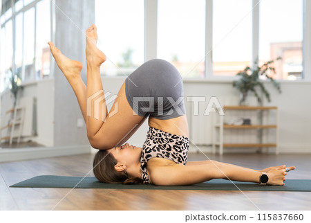 Diligent young woman practicing plough pose of yoga on mat in fitness room Diligent young woman practicing plough pose of yoga on mat in fitness room 115837660
