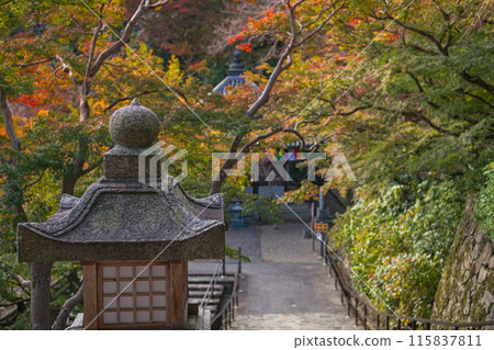 Autumn scenery in the grounds of Hasedera Temple, Nara Autumn scenery in the grounds of Hasedera Temple, Nara 115837811
