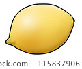 Lemon illustration (with main lines) 115837906