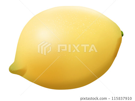 檸檬插畫(無主線) 檸檬插畫(無主線) 115837910