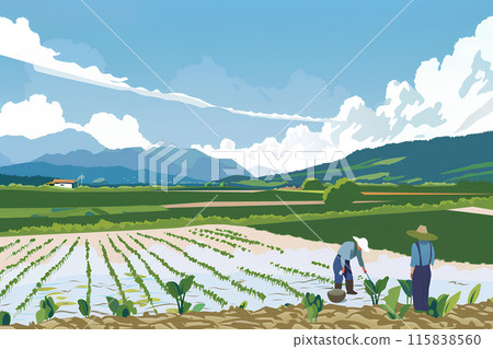 安曇野一號夏季鄉村景觀 115838560