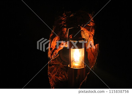 Tree Hole Lantern 115838756