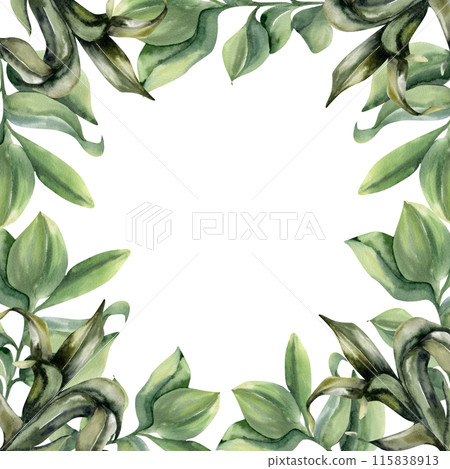 Green home plants with leaves watercolor frame. Hand drawn square frame with house, urban jungle flowers, card, invitation template. Eco salon design, poster, label, logo decorHome green plants in whi 115838913