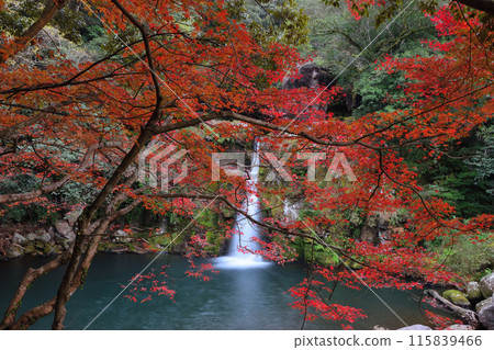 Kannon Falls Park in Satsuma Town 115839466