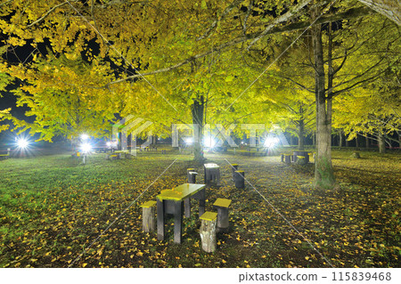 Kami-Osako Ginkgo Forest Square 115839468